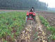 Two Rows Small Agricultural Machinery Small Scale Farming Equipment Tedarikçi